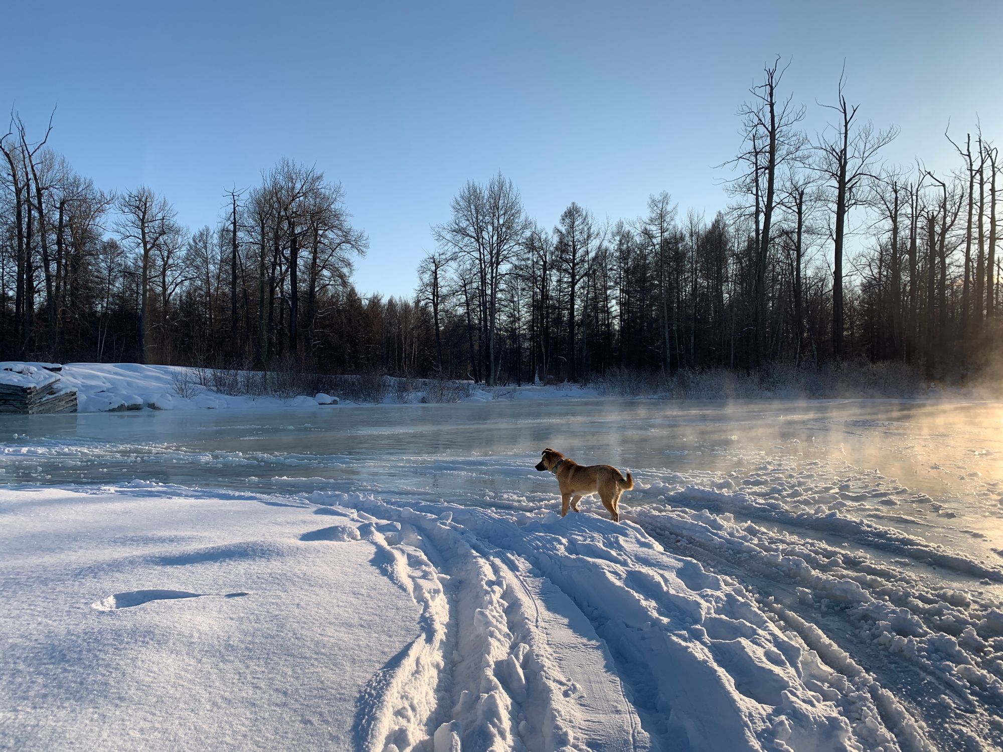 Baikal, a winter wonderland