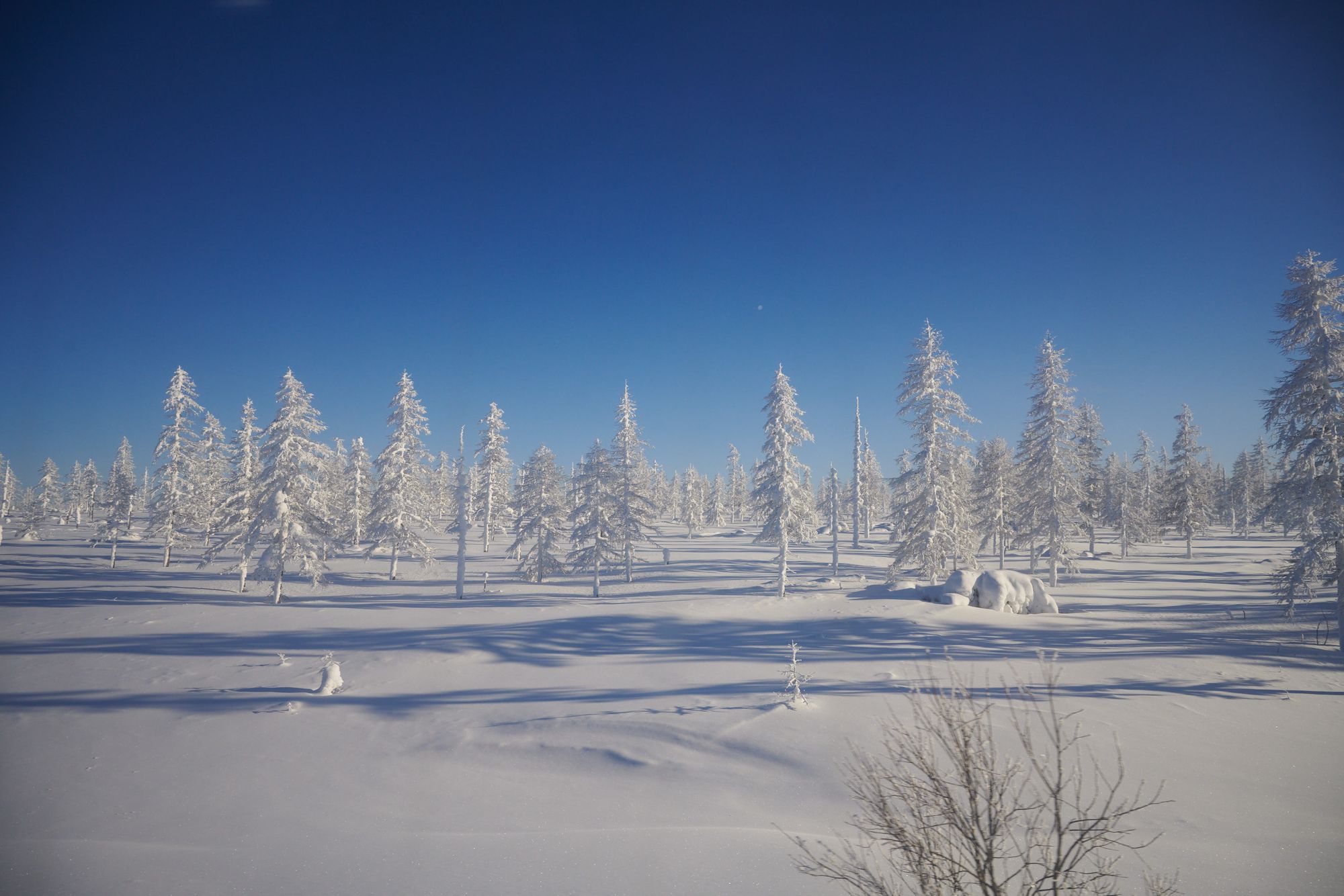 Yakutsk - into the cold