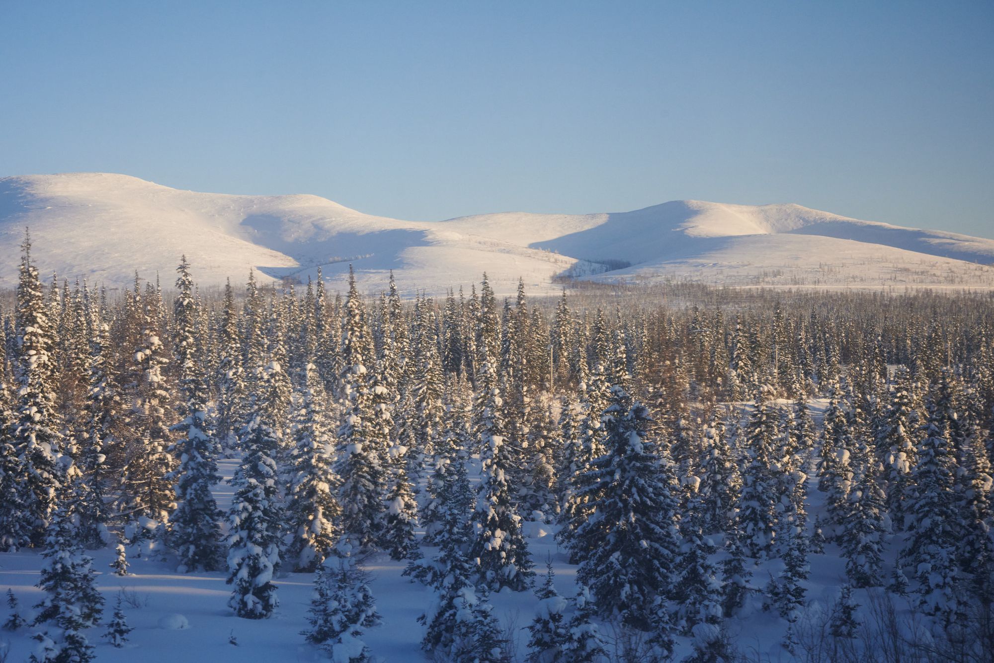 Yakutsk - into the cold