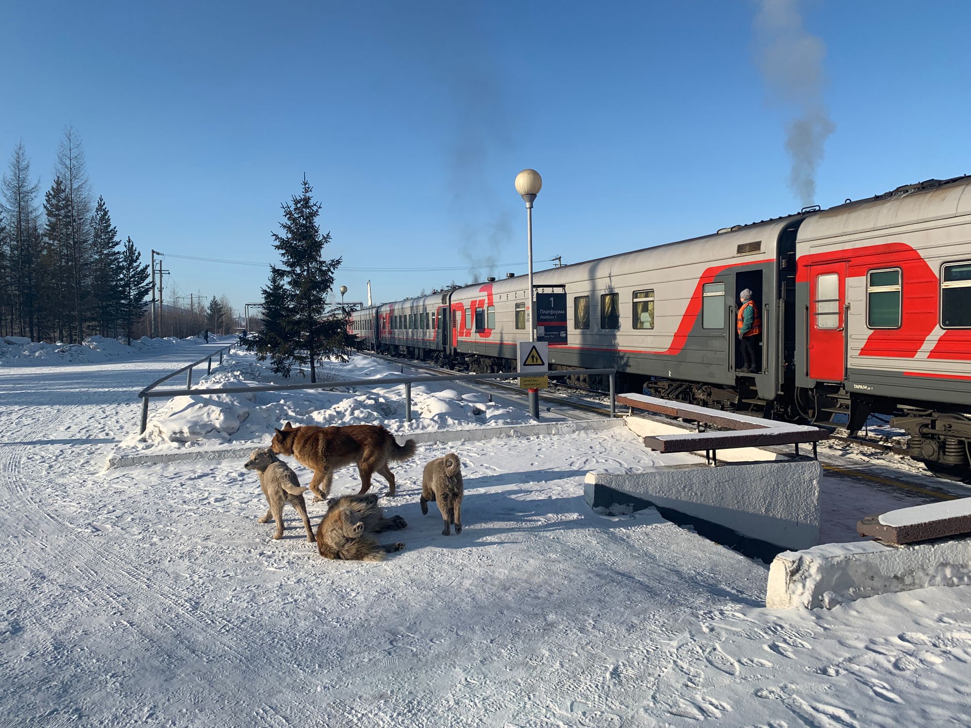 Yakutsk - into the cold