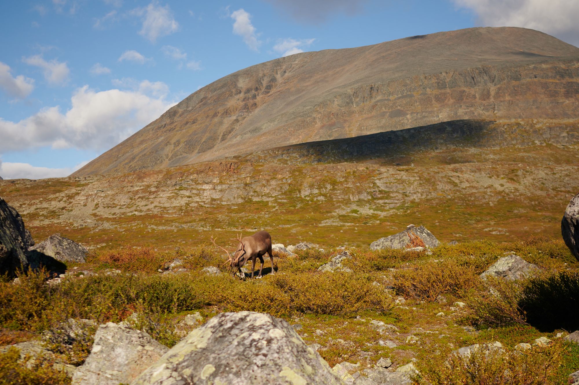 Kungsleden with a toddler - part 1: Abisko to Vakkotovare