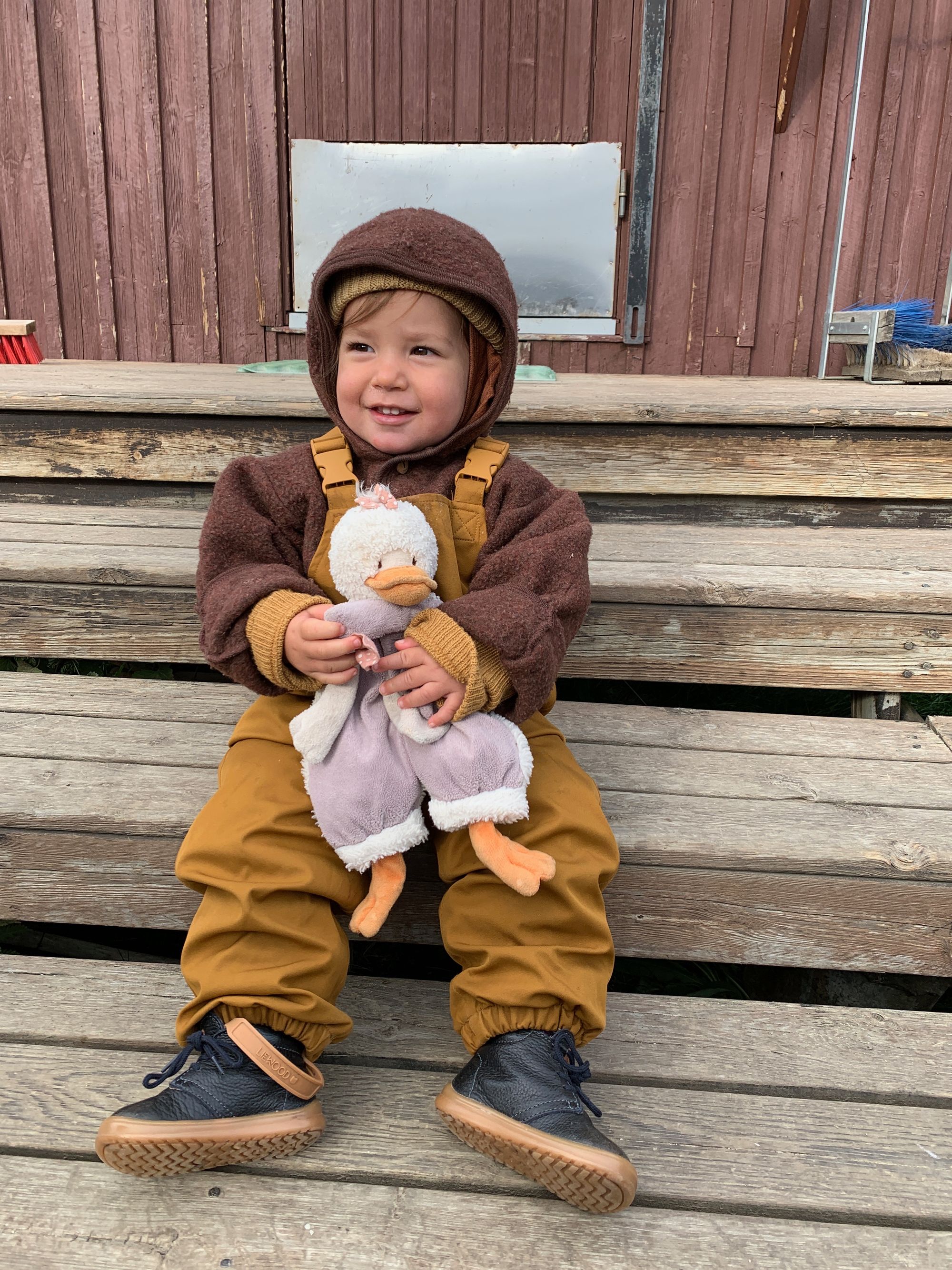 Kungsleden with a toddler - part 1: Abisko to Vakkotovare