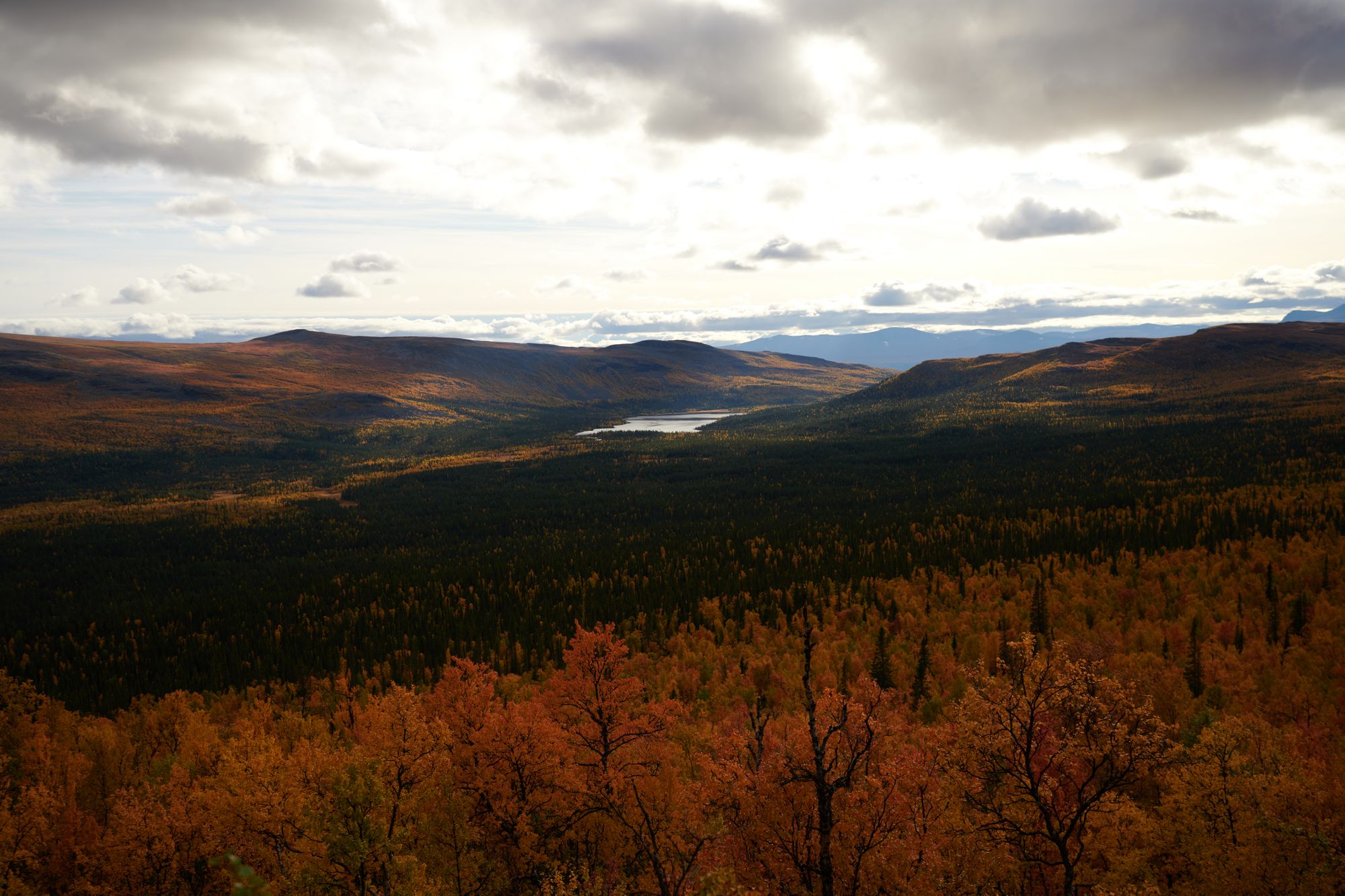 Kungsleden with a toddler - part 2: Saltoloukta to Kvikkjokk