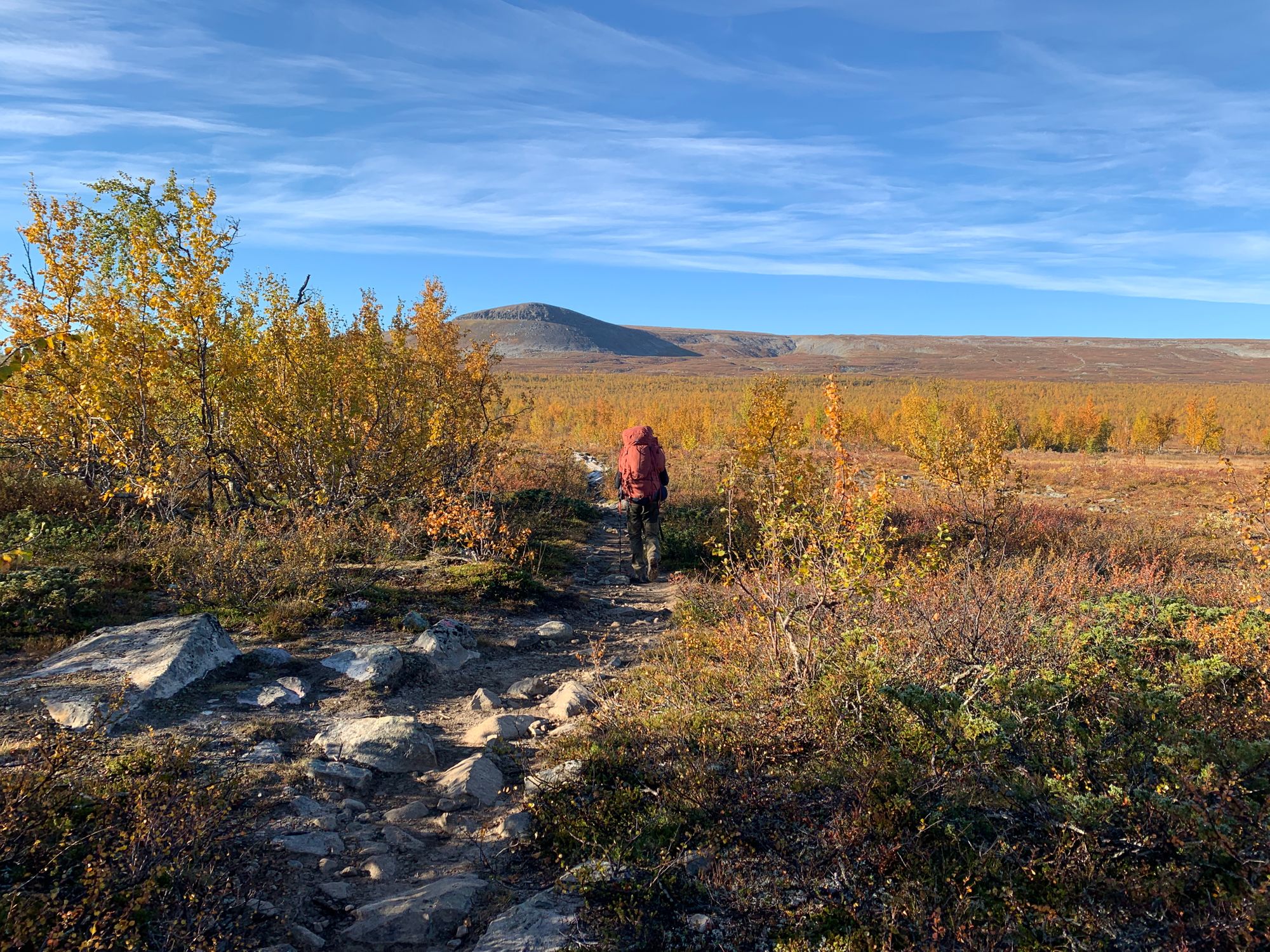 Kungsleden with a toddler - part 2: Saltoloukta to Kvikkjokk