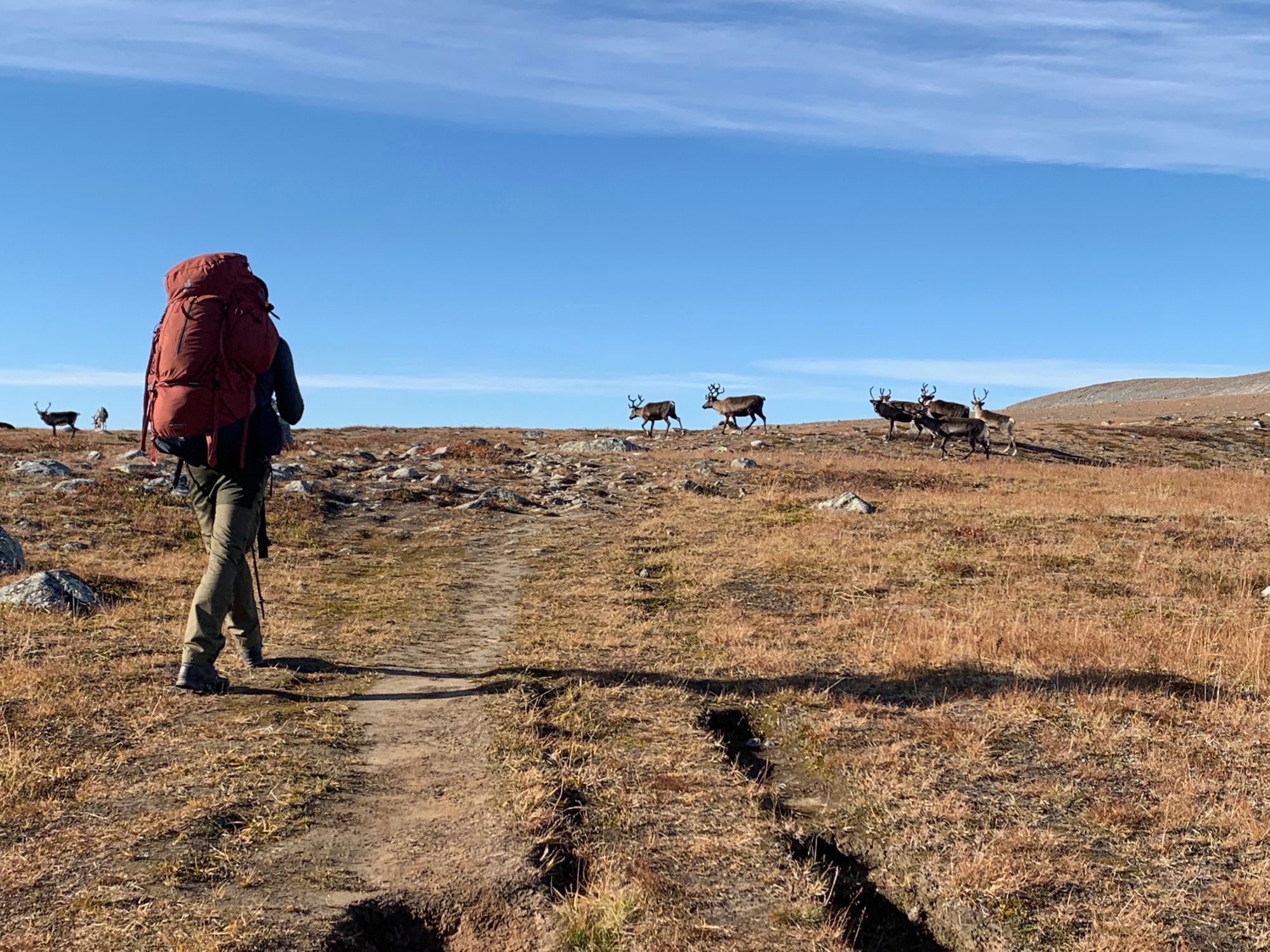 Kungsleden with a toddler - part 2: Saltoloukta to Kvikkjokk