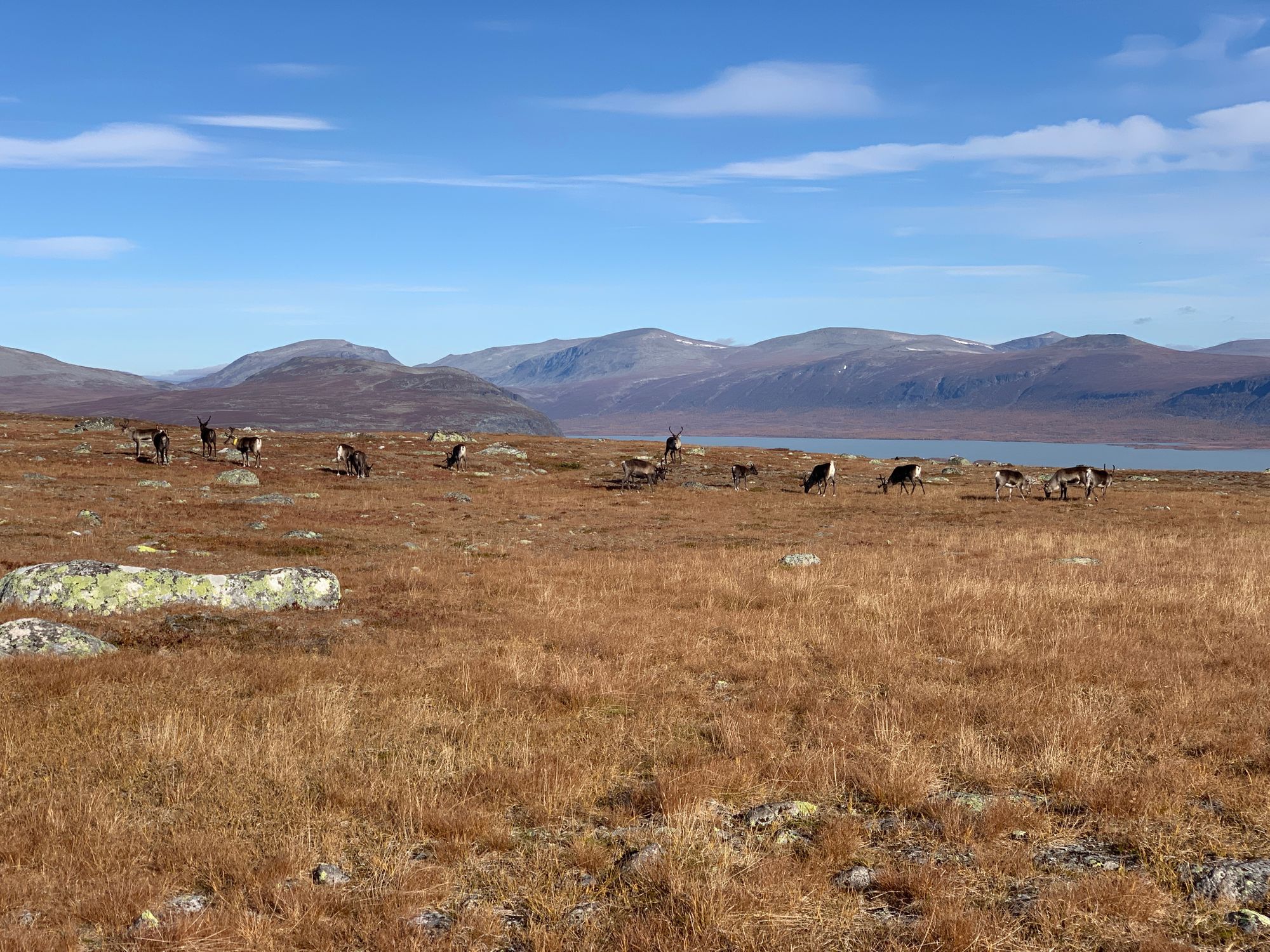 Kungsleden with a toddler - part 2: Saltoloukta to Kvikkjokk