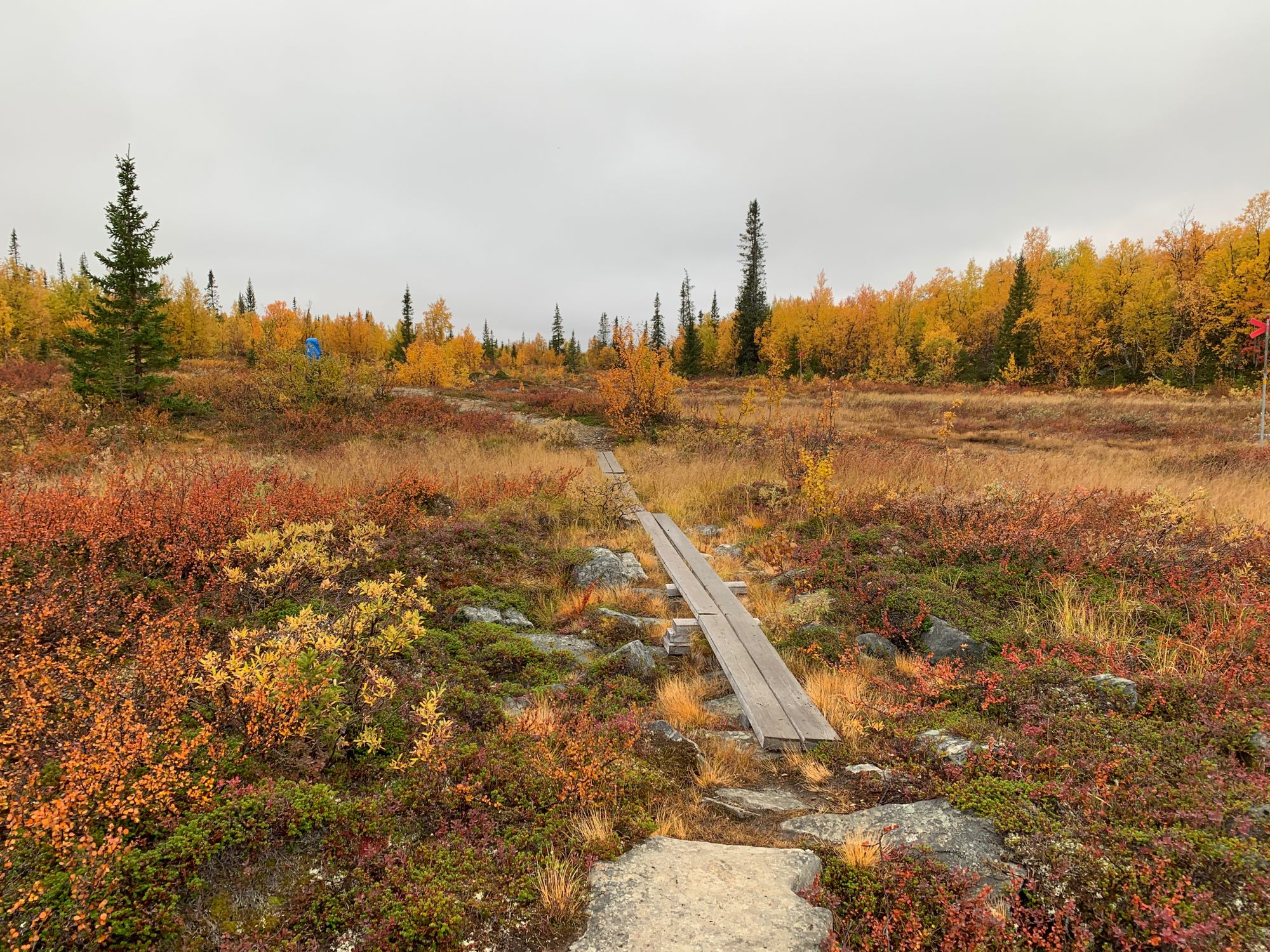 Kungsleden with a toddler - part 2: Saltoloukta to Kvikkjokk