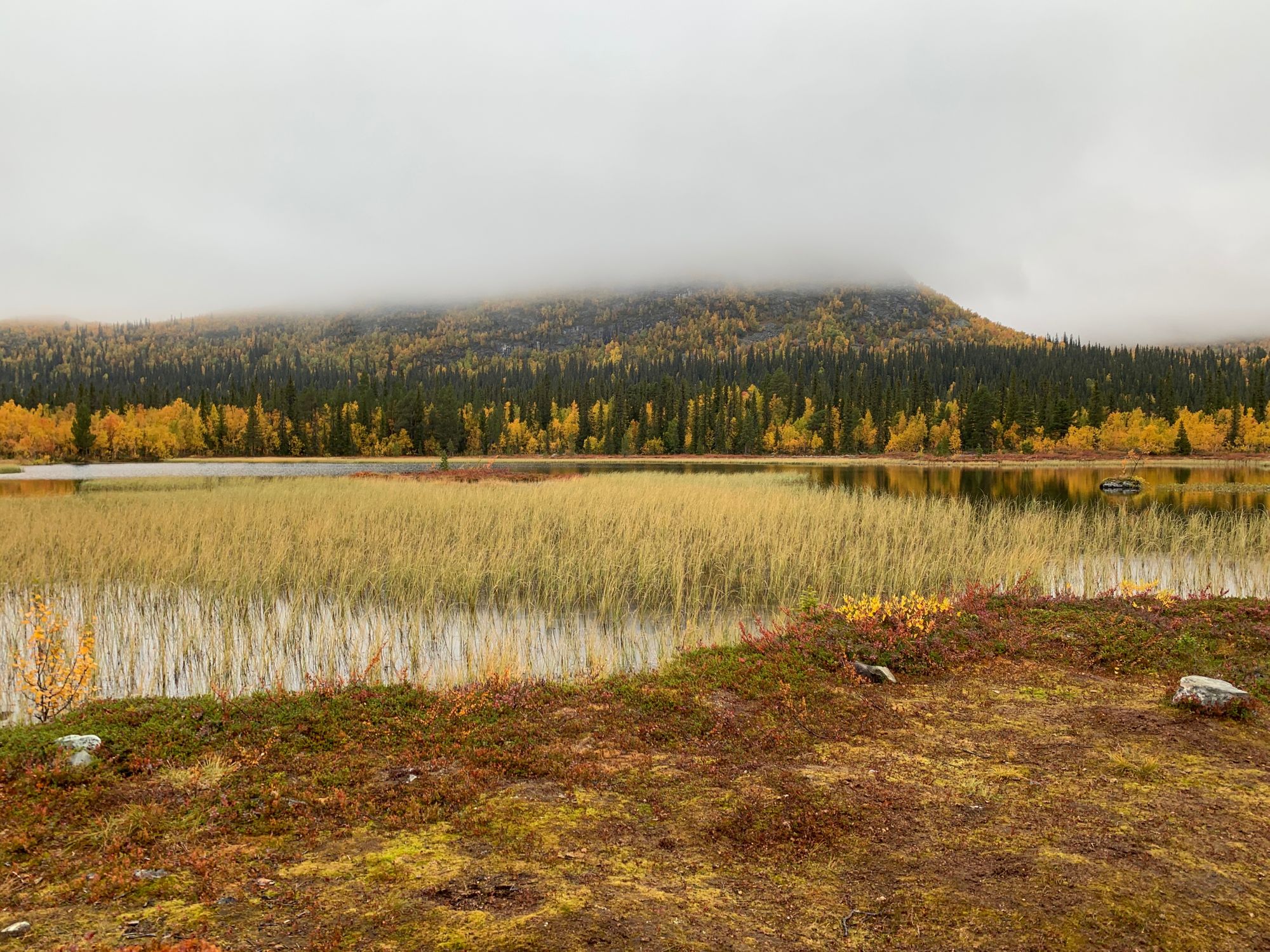 Kungsleden with a toddler - part 2: Saltoloukta to Kvikkjokk