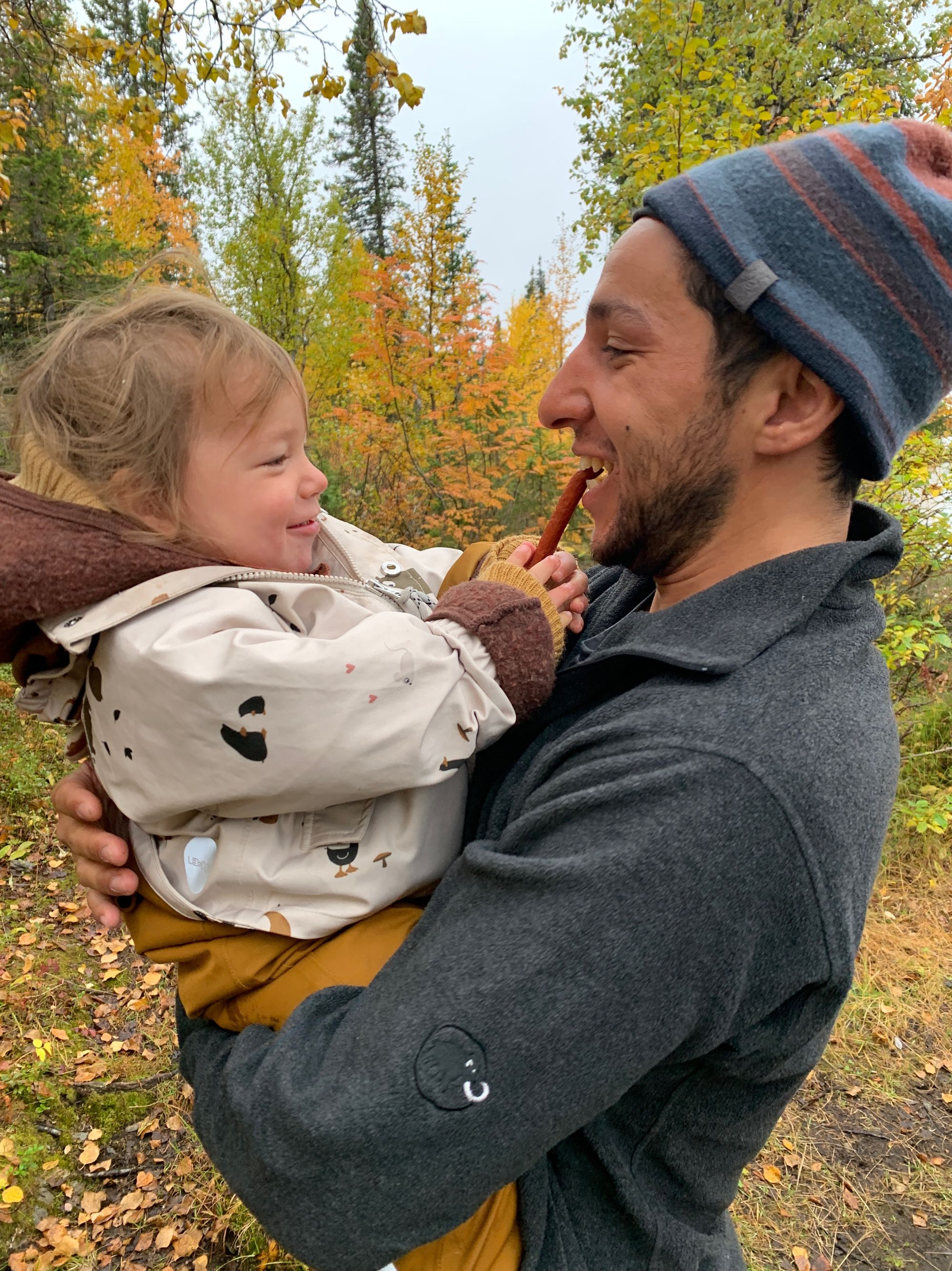 Kungsleden with a toddler - part 2: Saltoloukta to Kvikkjokk